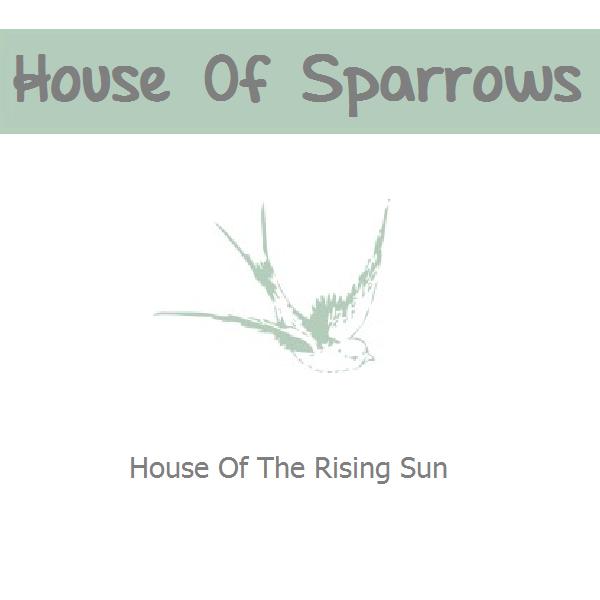 House of The Rising Sun (Cover)