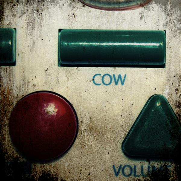 volume/cow