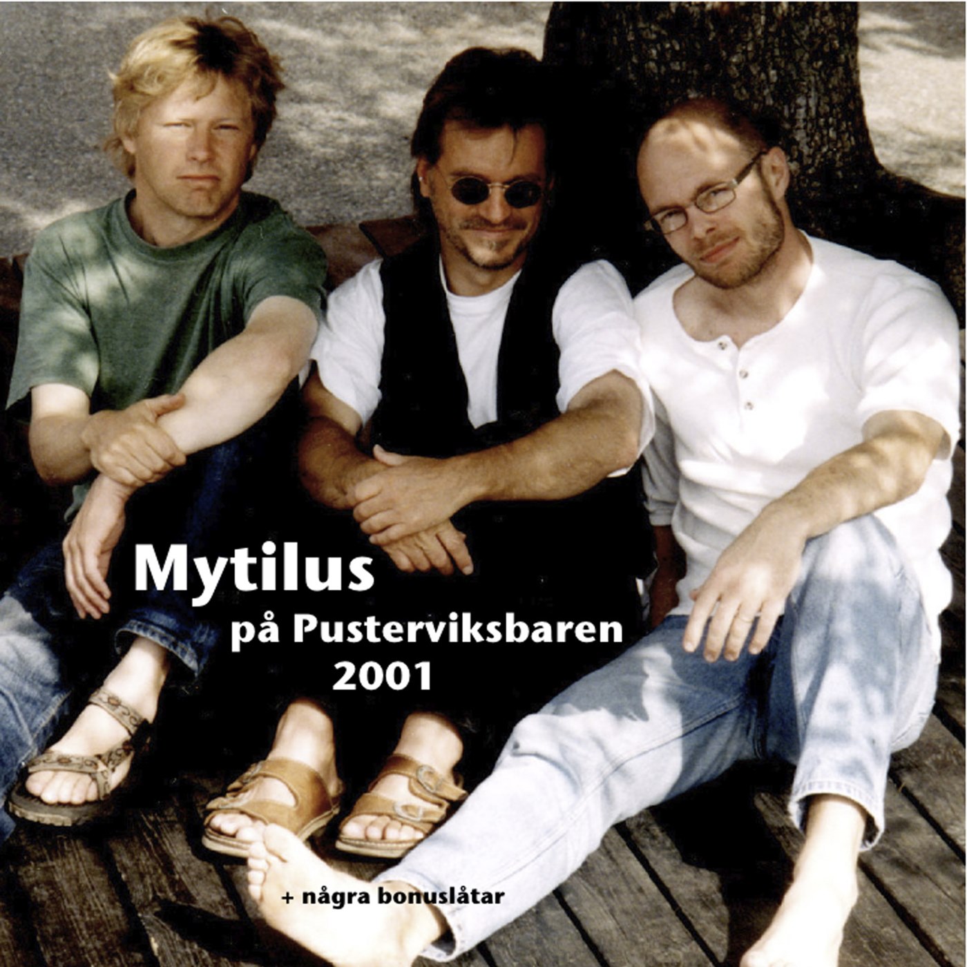 Mytilus på Pusterviksbaren 2001