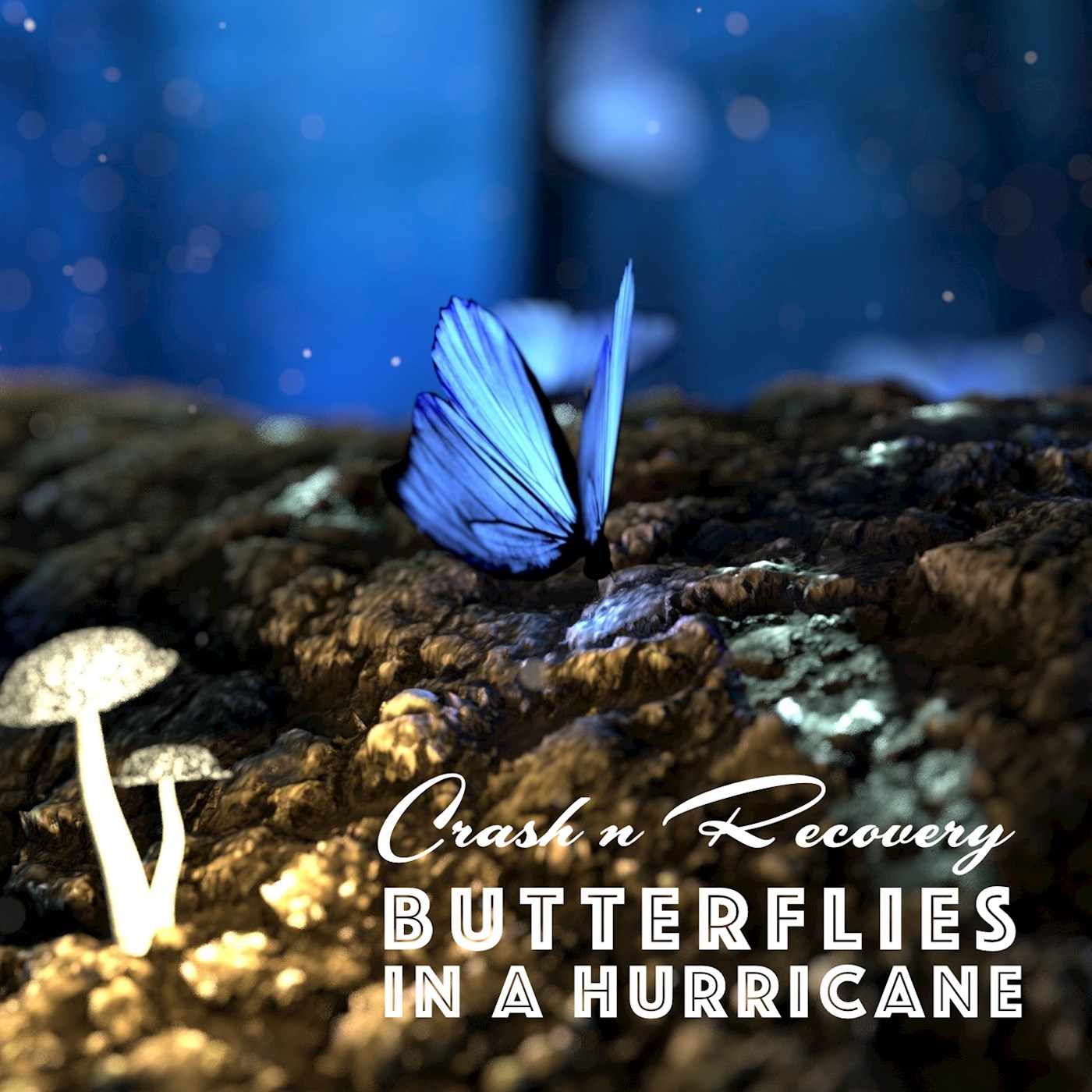 Butterflies in a hurricane