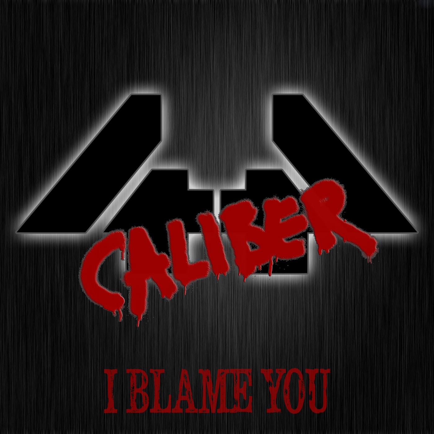 I Blame You