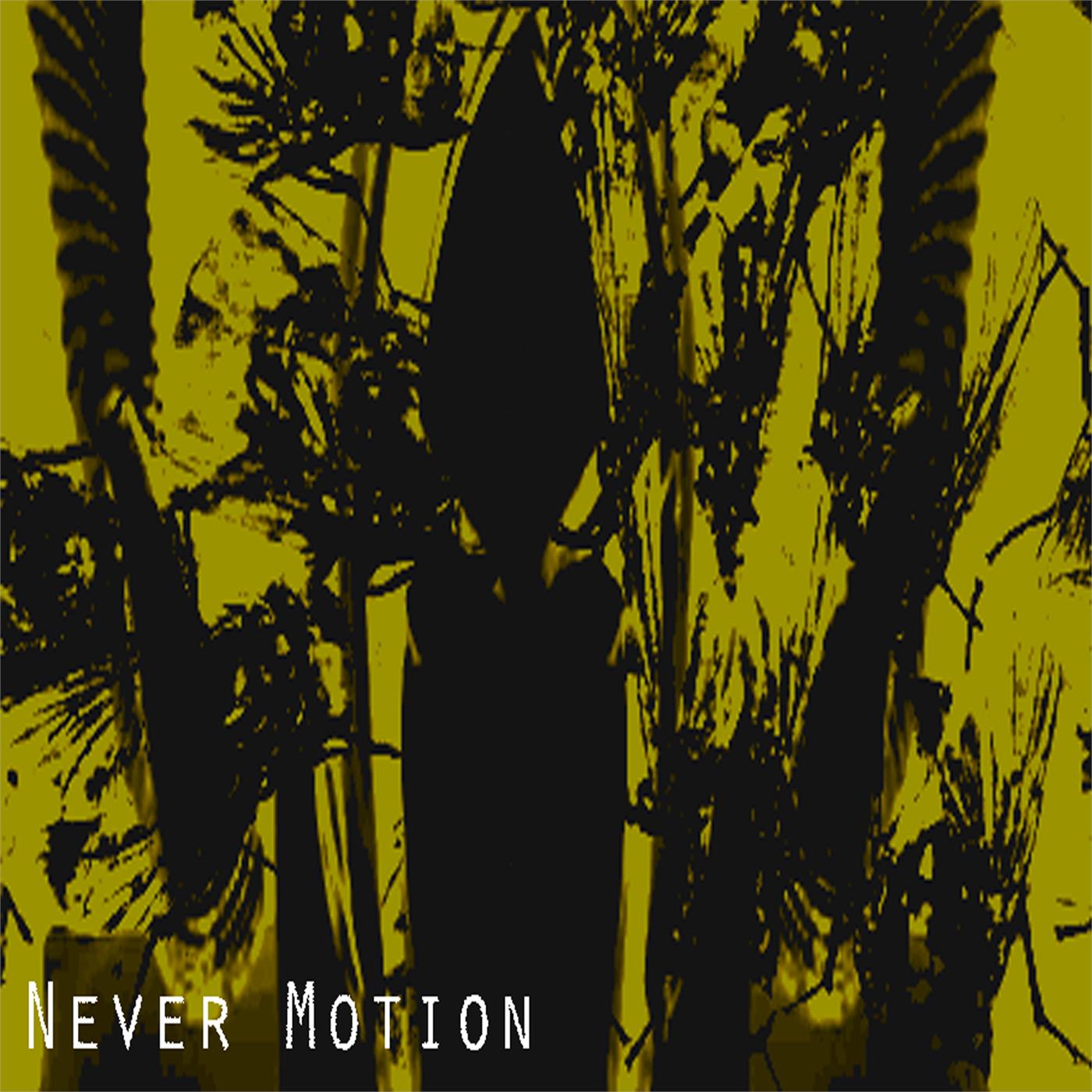 Never Motion