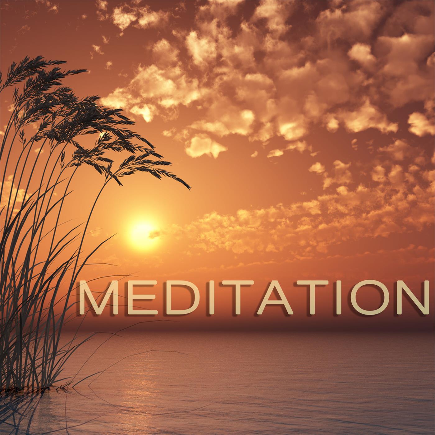 Meditation : The Art of Hapiness