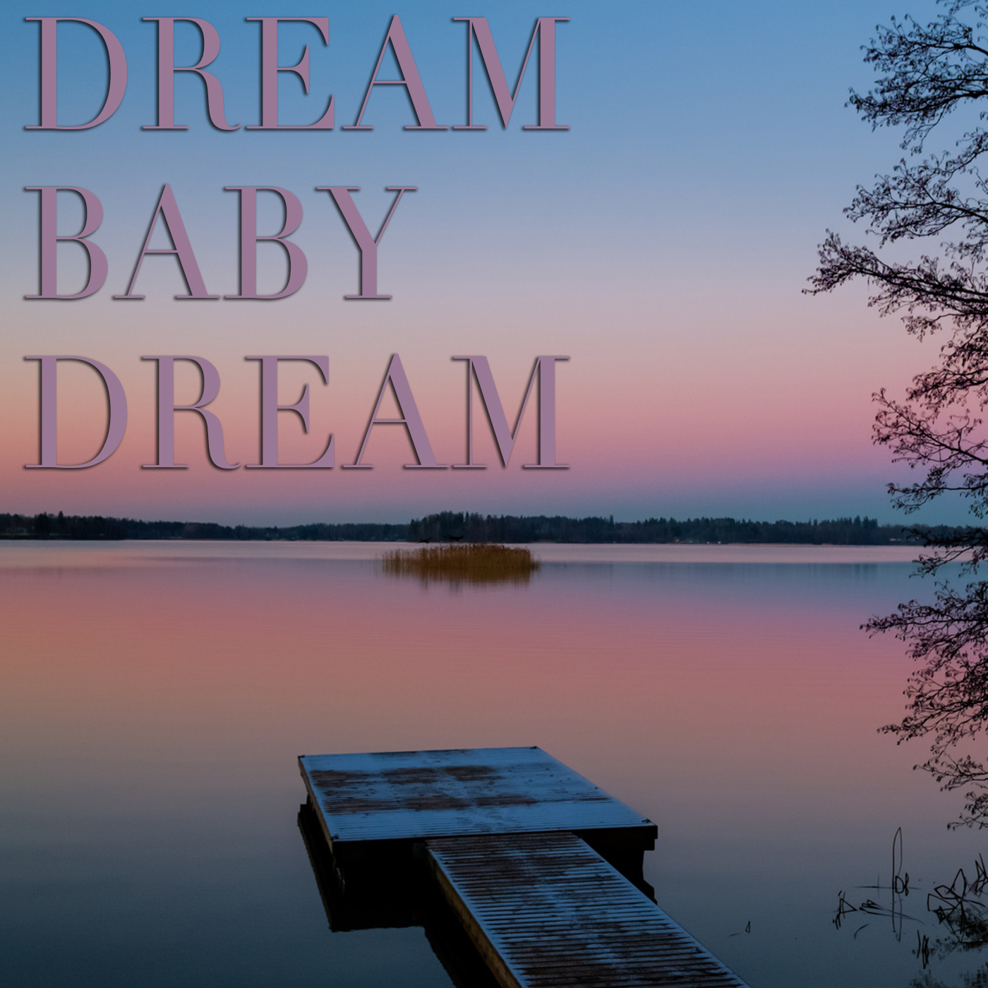 Dream Baby Dream : Sleep All Night