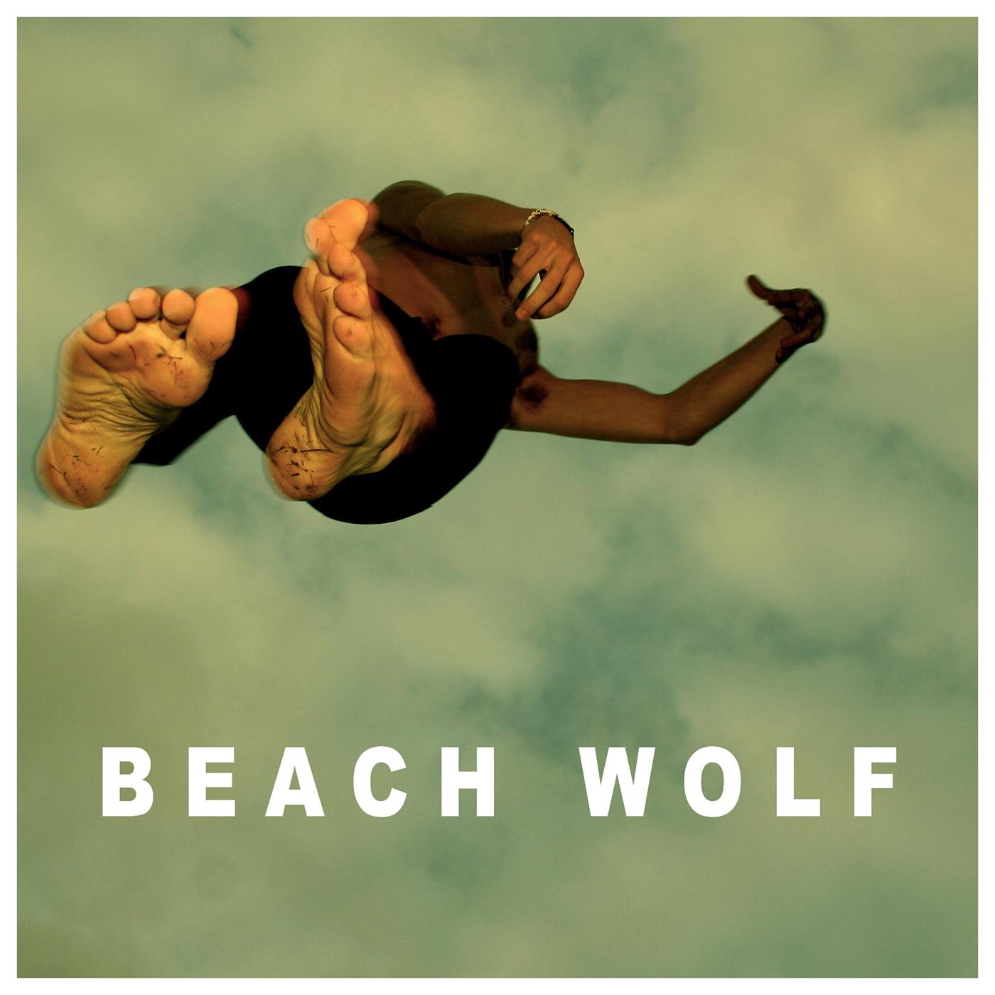 BEACH WOLF