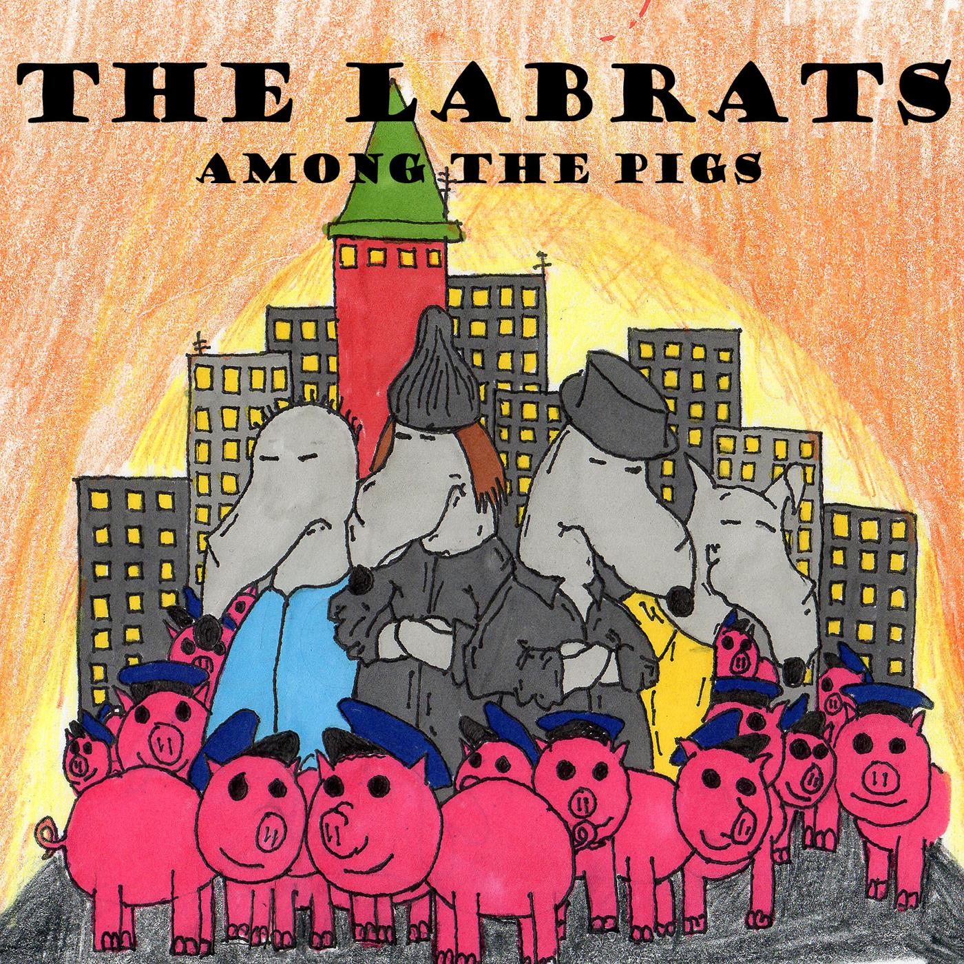 Among the Pigs