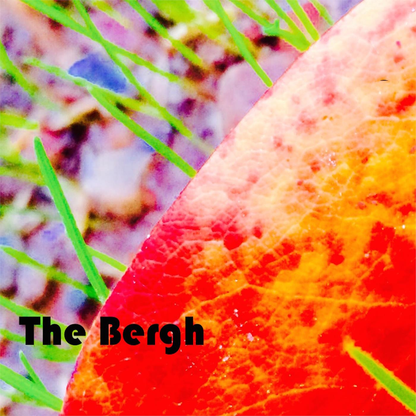 The Bergh