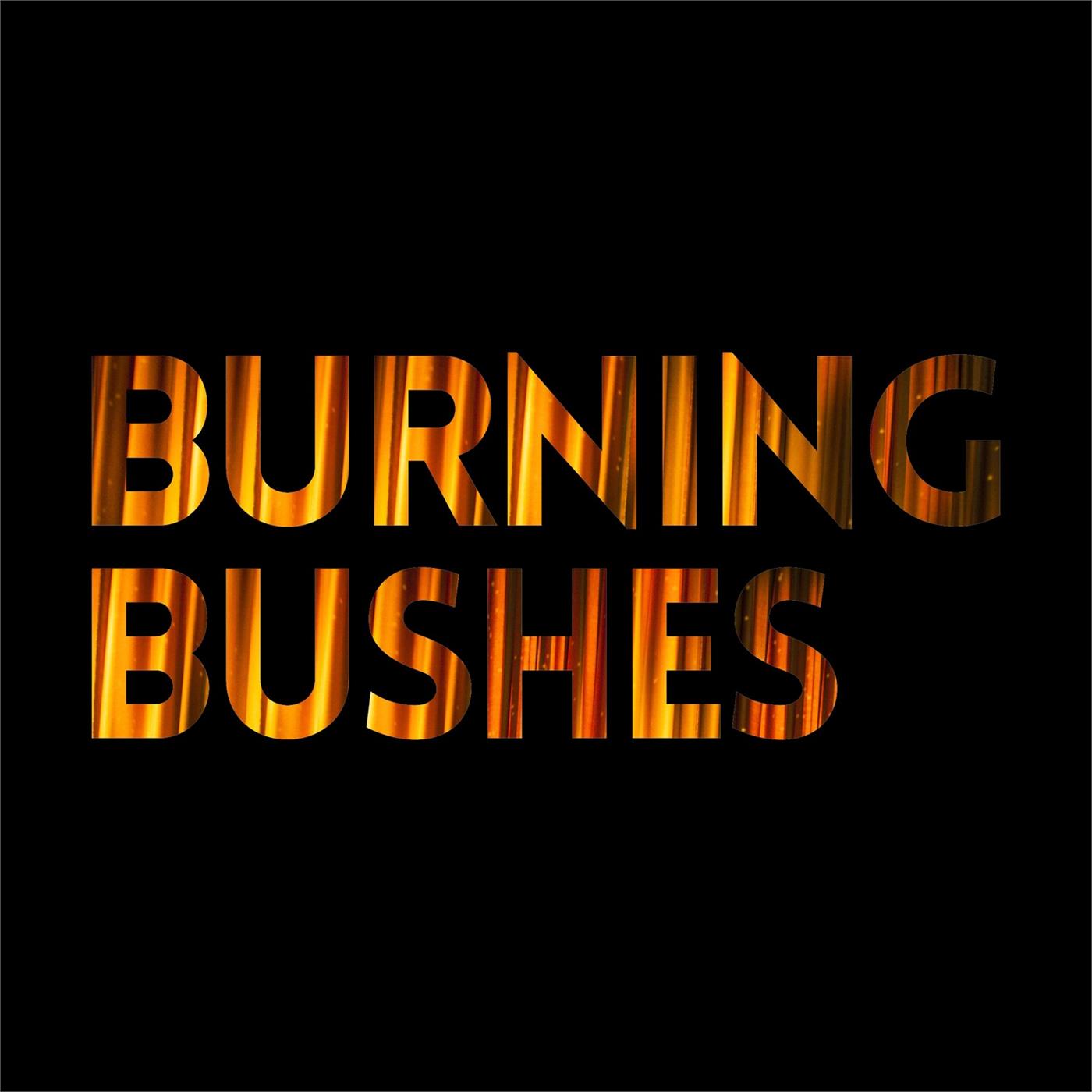 Burning Bushes
