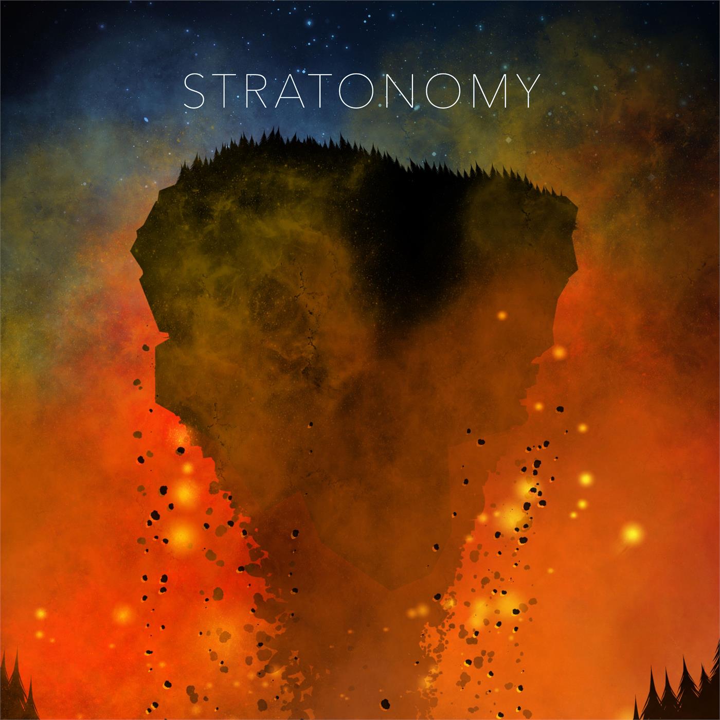 Stratonomy