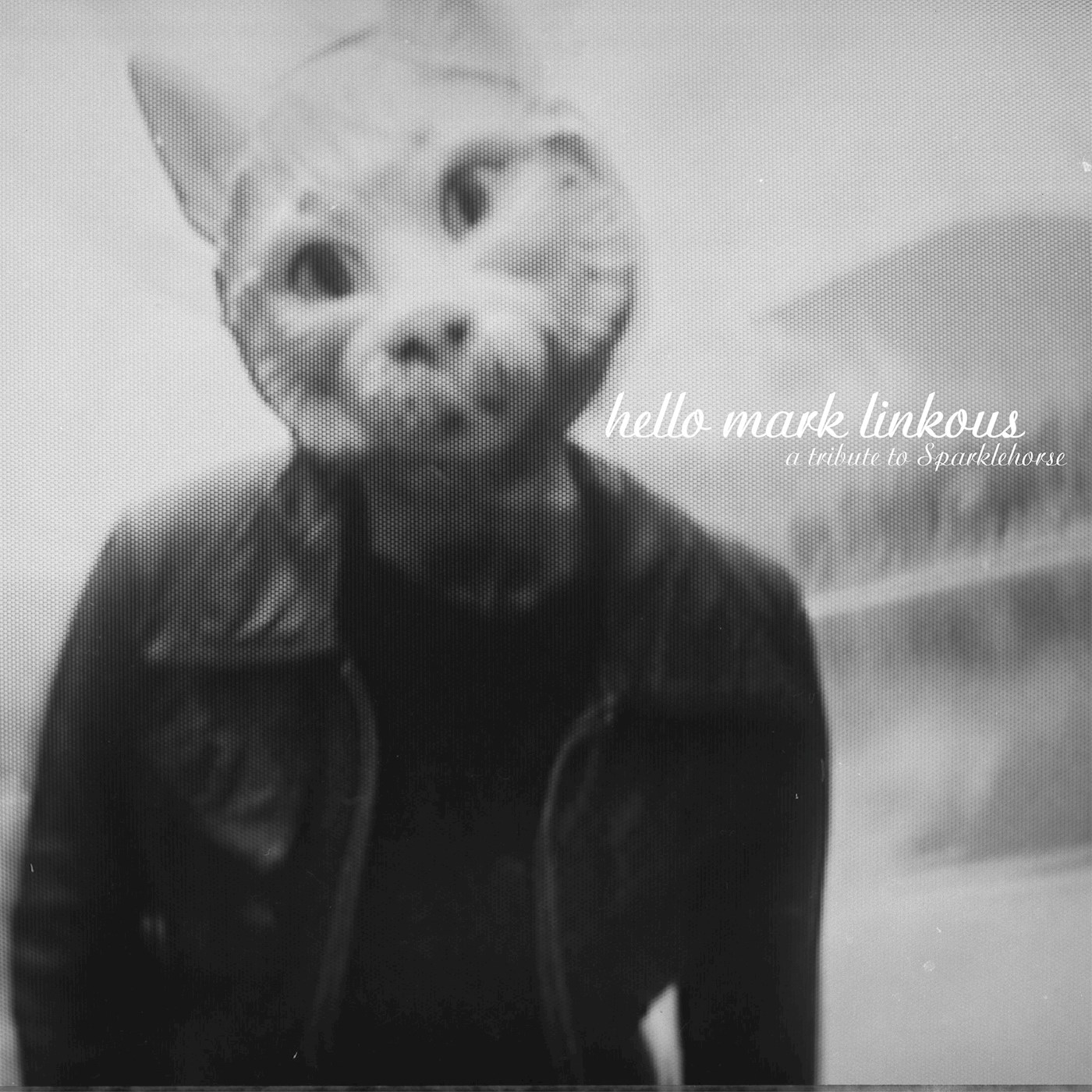 Hello Mark Linkous - A Tribute to Sparklehorse