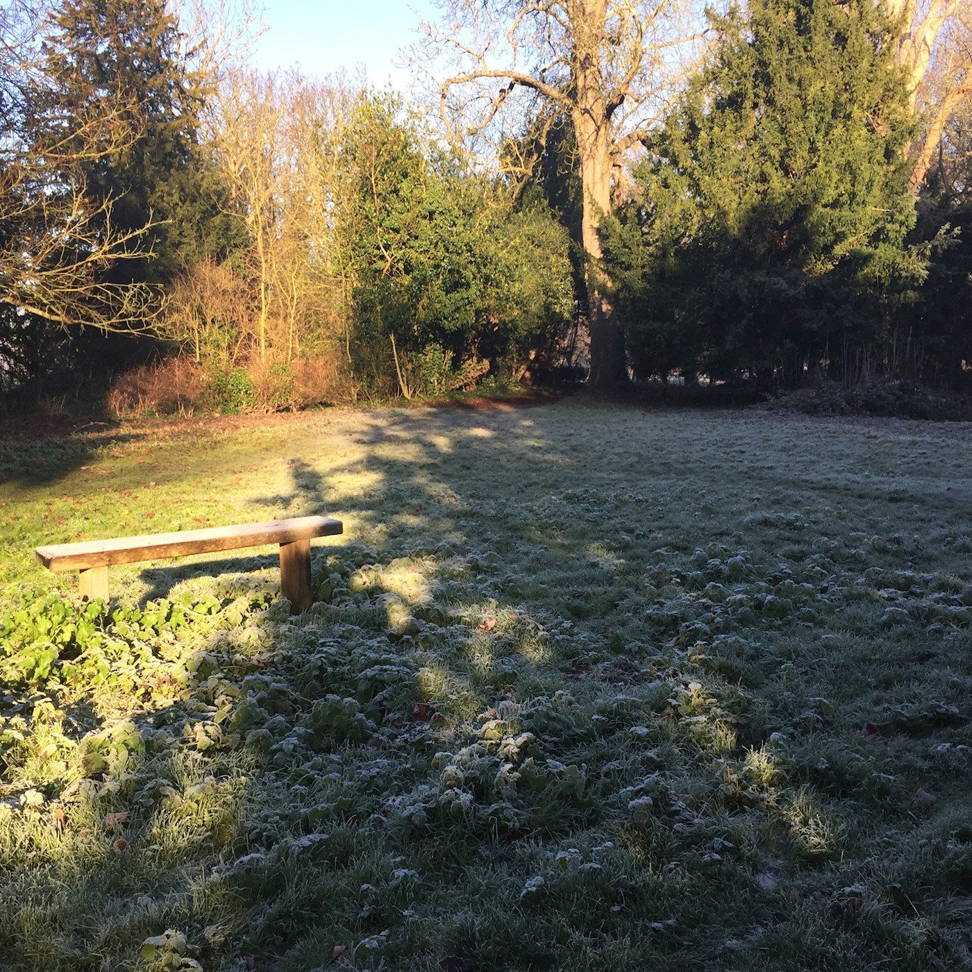 Frost Shadows