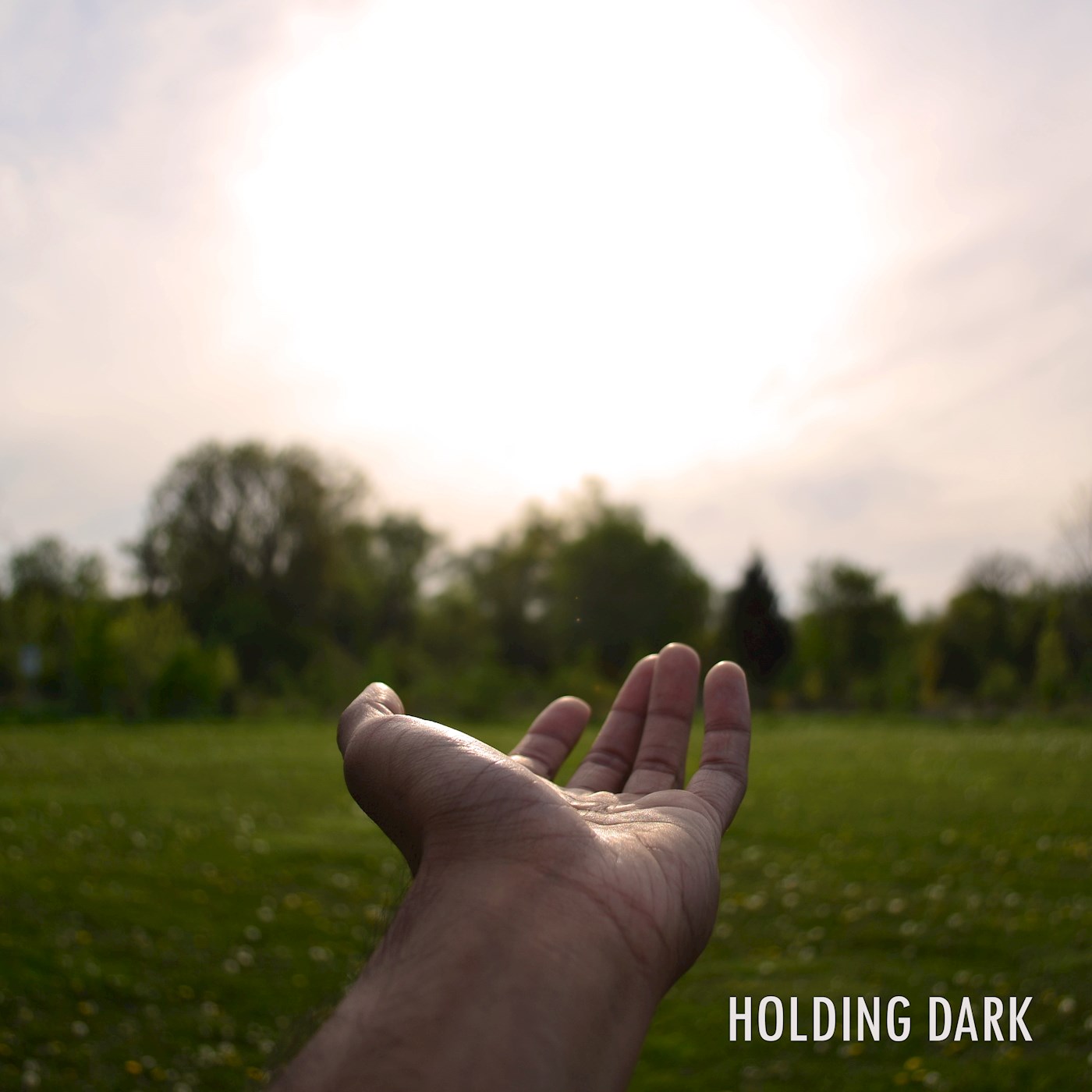 Holding Dark